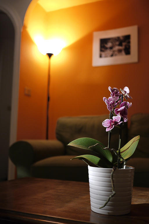Immagineazione B&B Naples Luaran gambar